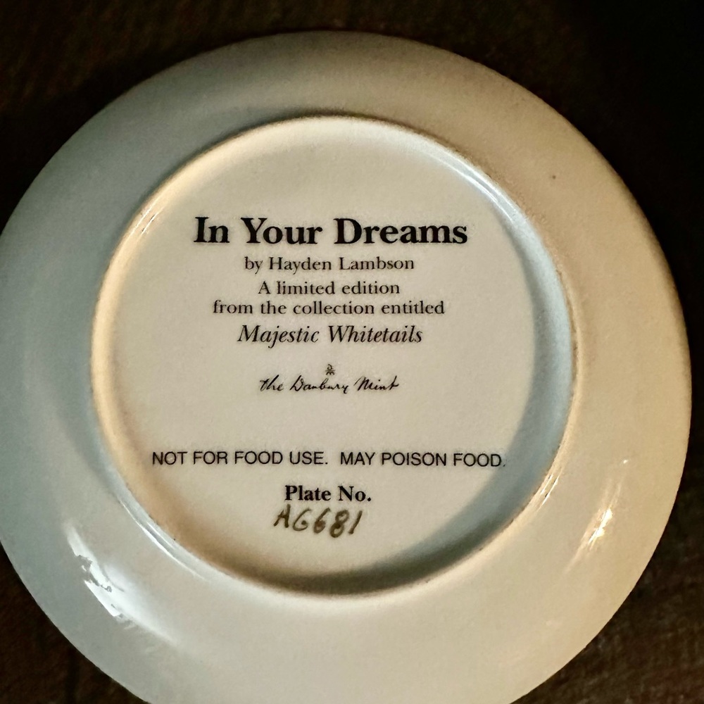 Porcelain Plate - Picture 2 of 2